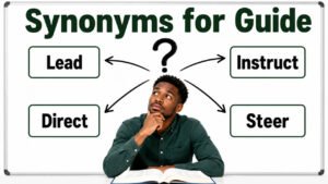 synonyms for guide
