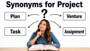 synonyms for project