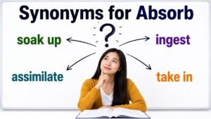 synonyms for absorb