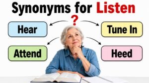 synonyms for listen