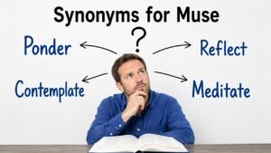 synonyms for muse