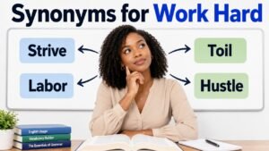 synonyms for work hard