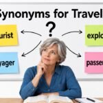 synonyms for traveler